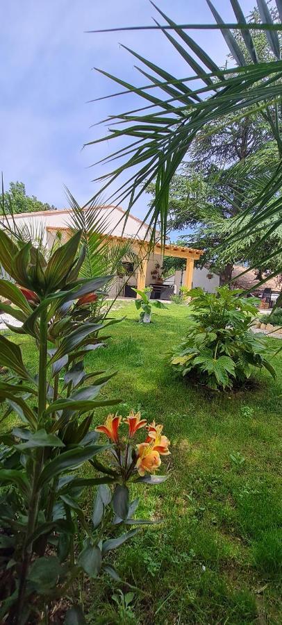 فيلا Gite Les 2 Cedres Cardet المظهر الخارجي الصورة